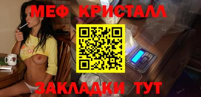 стаф Донской