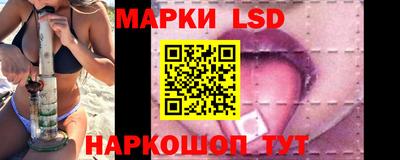 стаф Донской