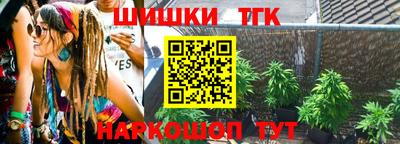 стаф Донской