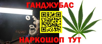 мдпв Дубна