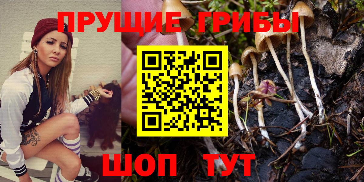 Галлюциногенные грибы GOLDEN TEACHER Медногорск