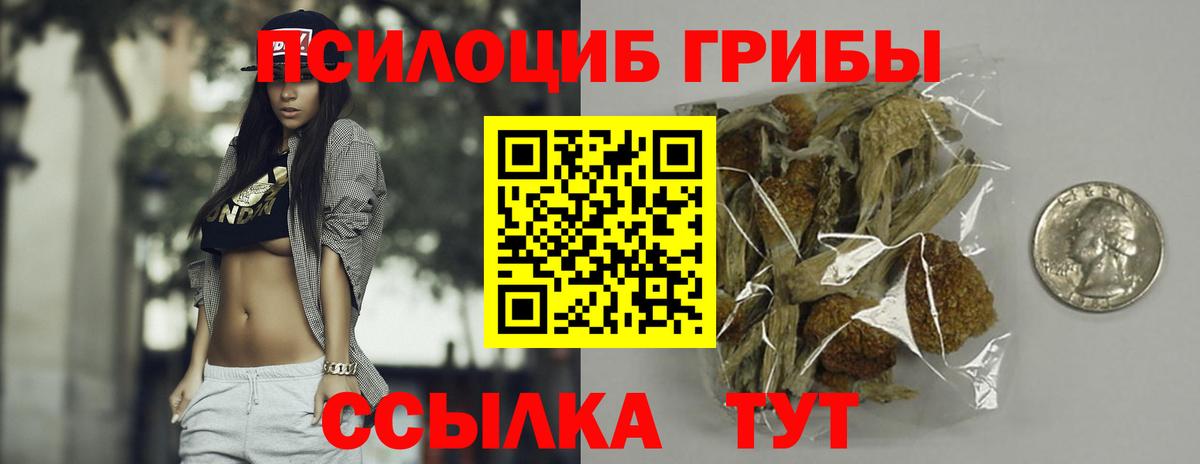 Медногорск  Галлюциногенные грибы MAGIC MUSHROOMS  Вход с VPN 
